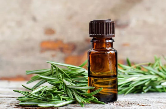 Rosemary Oil